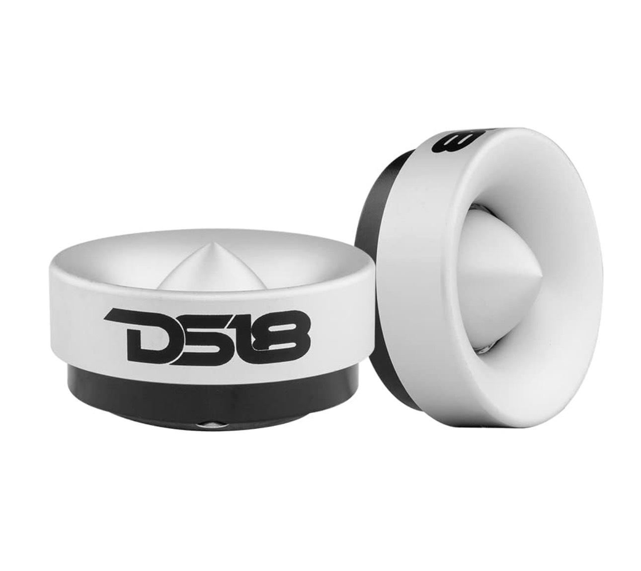 DS18